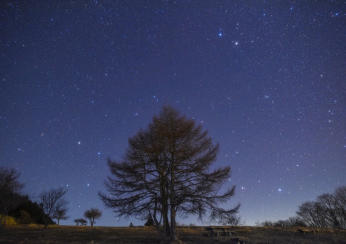 「道の駅 つぐ高原グリーンパーク」の敷地内から望む満天の星（夜）