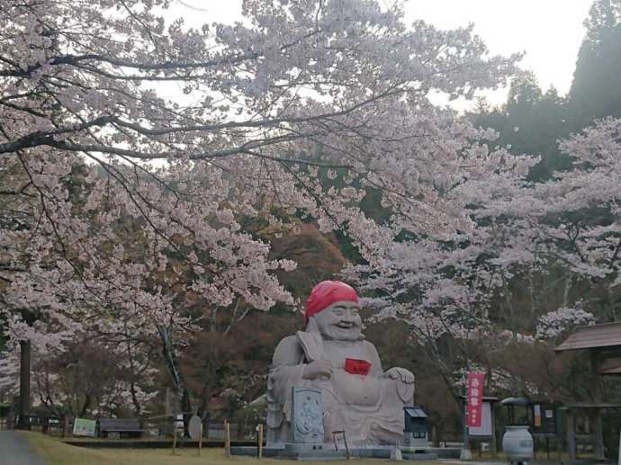 「通宝山彌勒寺」境内の巨大な布袋尊像と開花した桜（春）