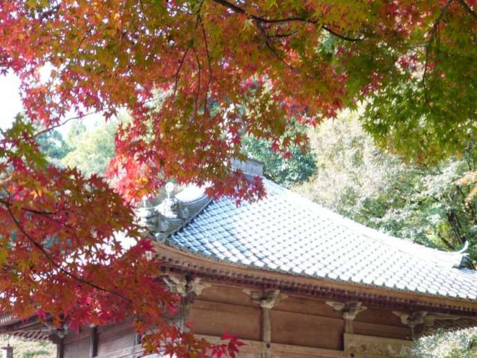 「通宝山彌勒寺」境内の開山堂と紅葉（秋）