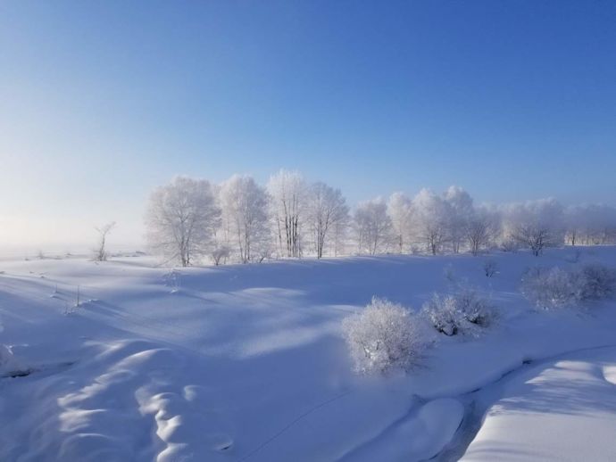 北海道月形町の冬の風景