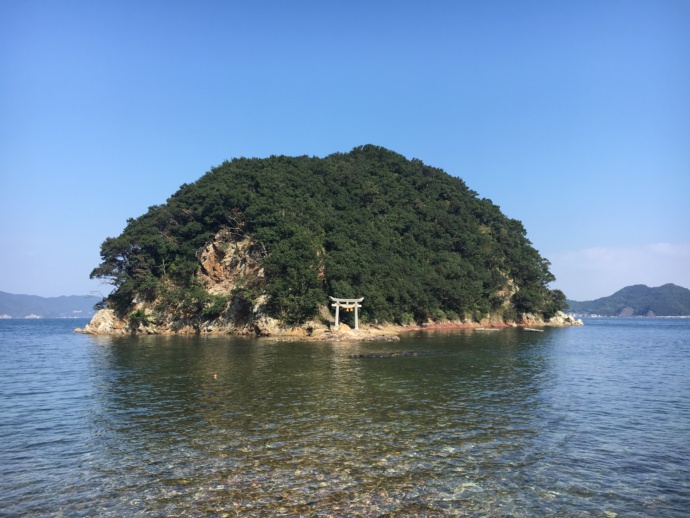 網代島の写真