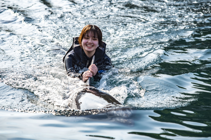 イルカの背びれにつかまって泳ぐ女性の写真