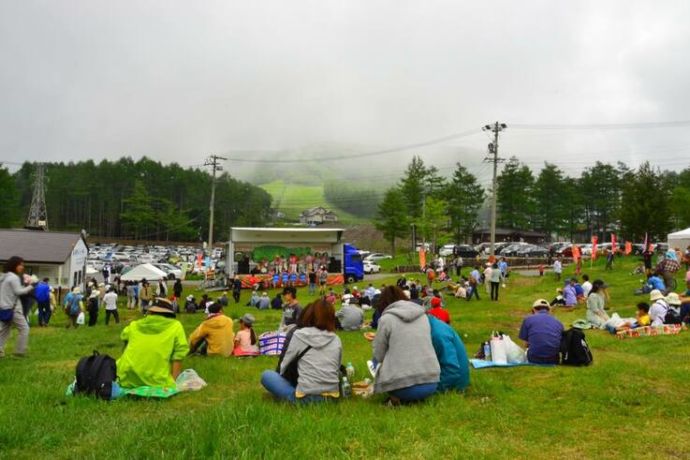 毎年6月中旬～7月上旬に開催される「湯の丸高原つつじ祭」の様子