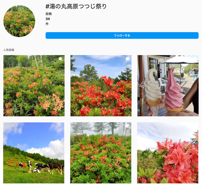 Instagramに投稿された湯の丸高原つつじ祭の画像