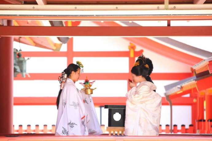 津島神社の神前式で三三九度を行う新郎新婦
