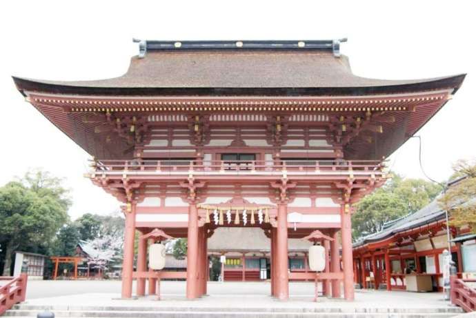 津島神社の国の重要文化財である桜門