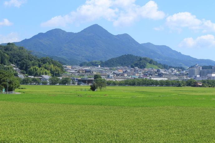 「大和富士」と呼ばれる額井岳の景観