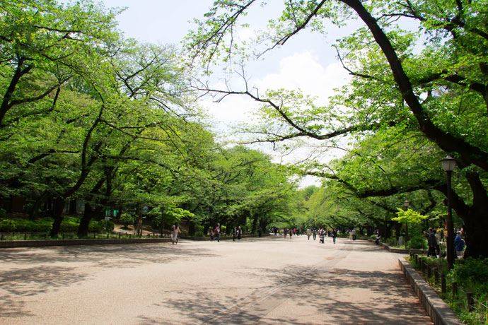 東京 上野公園デート 大人も楽しめる芸術性に溢れたデートスポット情報まとめ