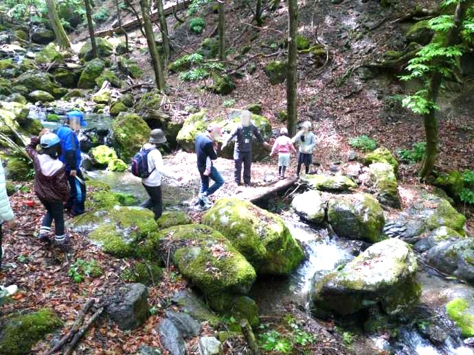 上野村森林セラピーに参加した人々が小さな川を渡る様子
