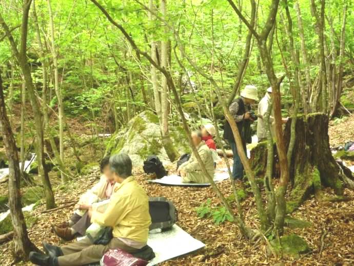 上野村森林セラピーに参加して豊かな自然の中でリラックスする人々