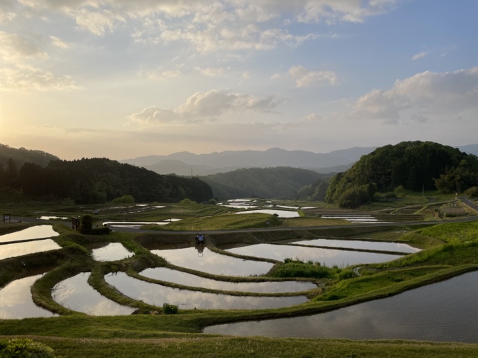 雲南市の山王寺の棚田