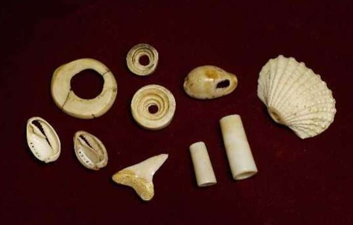 栃原岩陰遺跡で出土した貝のアクセサリー