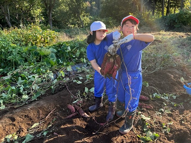 子ども達のの芋掘り体験