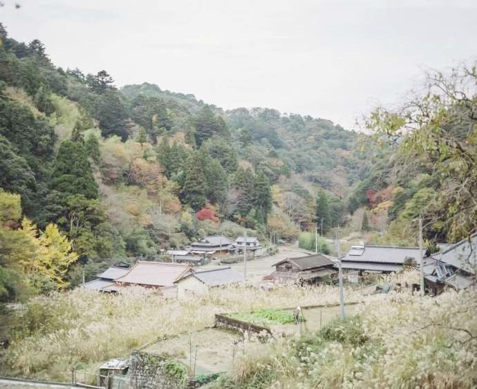 山間部に位置する五木村の風景