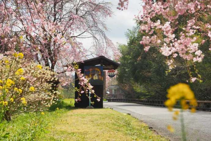桜をはじめとした花が咲きそろう「ととろのバス停」の春の風景