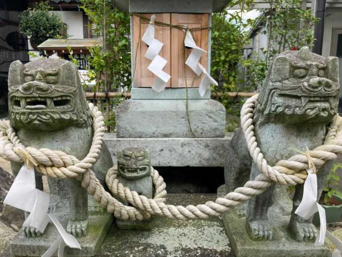 和田八幡宮の境内にある子安社のなで狛犬