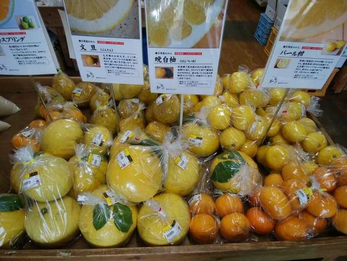 「直売所わかみや」で販売される各種の柑橘類