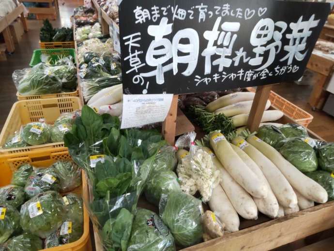 「直売所わかみや」で販売される新鮮な冬野菜の数々