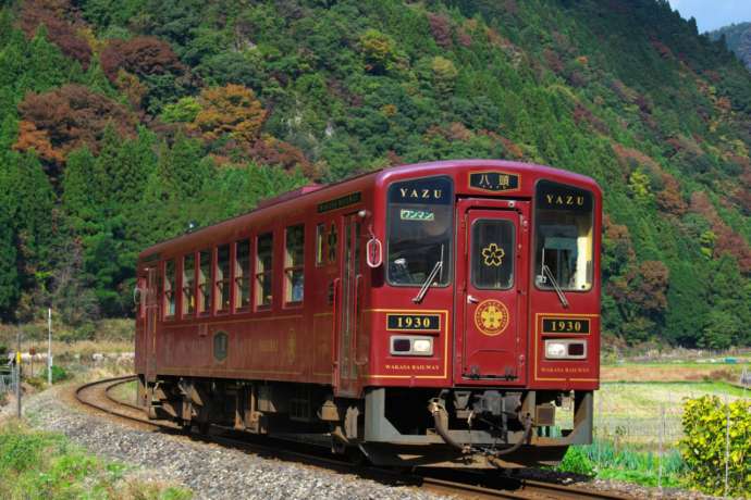 若桜鉄道の観光列車「八頭号」