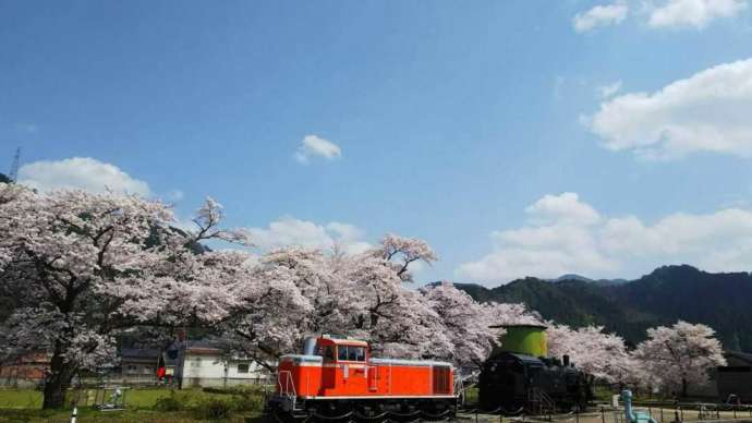 若桜鉄道の春の風景