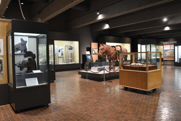 和歌山市立博物館で常設展示されている馬の冑