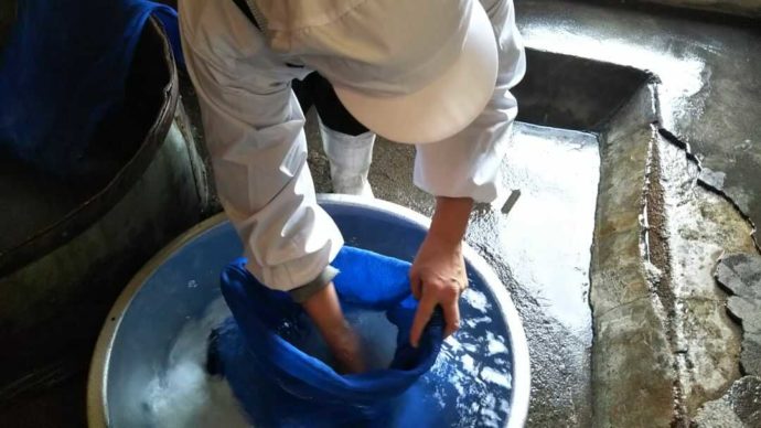 岐阜県大垣市林町「渡辺酒造醸」で米洗いをする様子