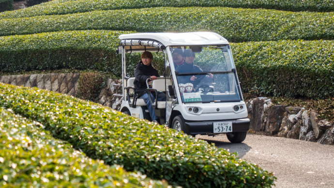 和束町のグリーンスローモビリティによる茶畑周遊ツアー