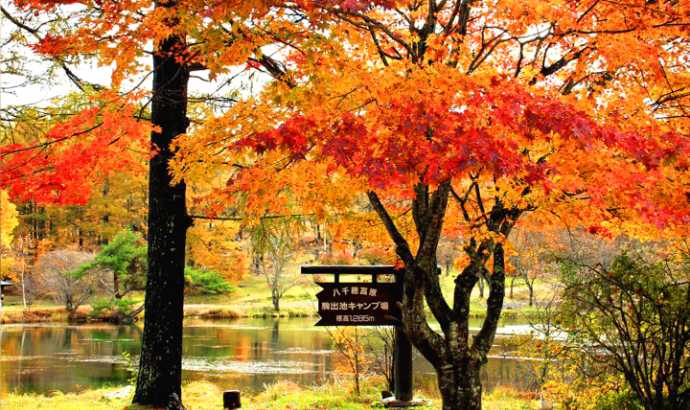 紅葉が美しい駒出池キャンプ場の看板