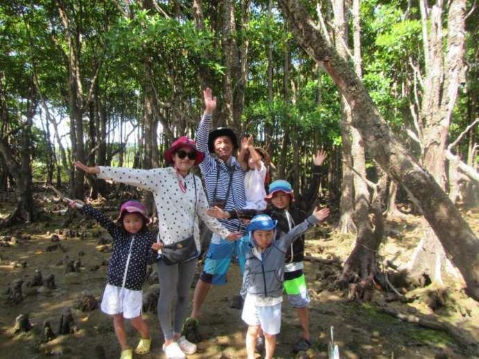 沖縄県名護市にある「屋我地エコツーネット」の体験ツアーでオヒルギ林を散策する様子