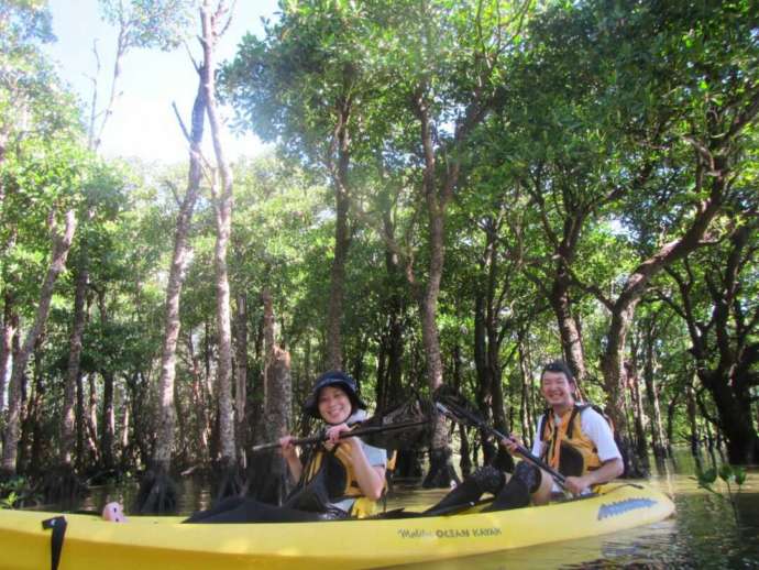 沖縄県名護市にある「屋我地エコツーネット」のカヤック体験でオヒルギ林を進む様子