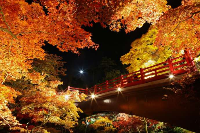 弥彦公園の秋の様子