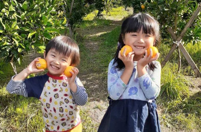 大阪府富田林市にあるやまびこ園でみかんを収穫した子供たち