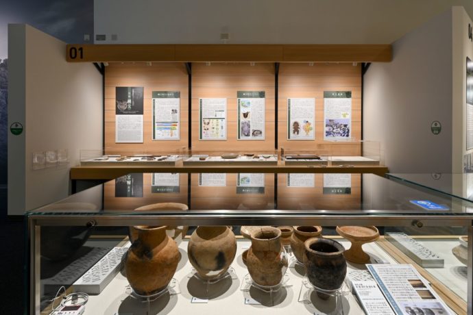 栗谷遺跡から発掘された土器や石器が展示されている様子