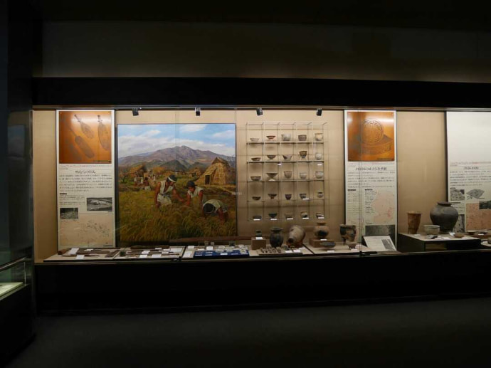 山形県立博物館の考古展示