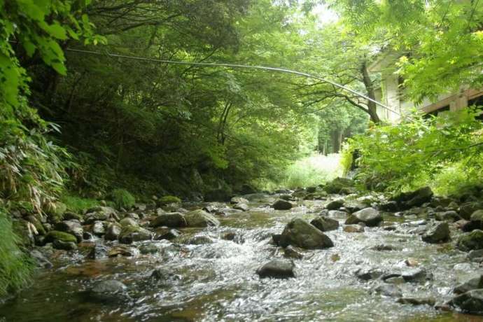島根県東部のブナ林から「芦谷峡 やまめの里」に引き込まれている渓流