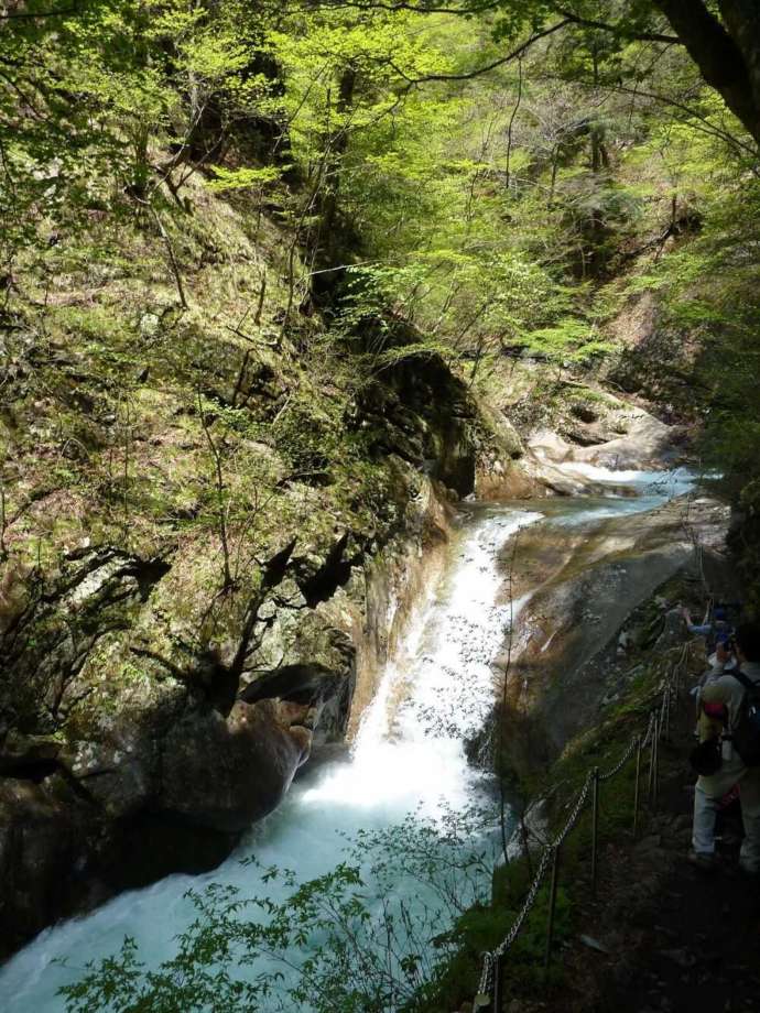 山梨市森林セラピーで訪れる西沢渓谷にある貞泉の滝