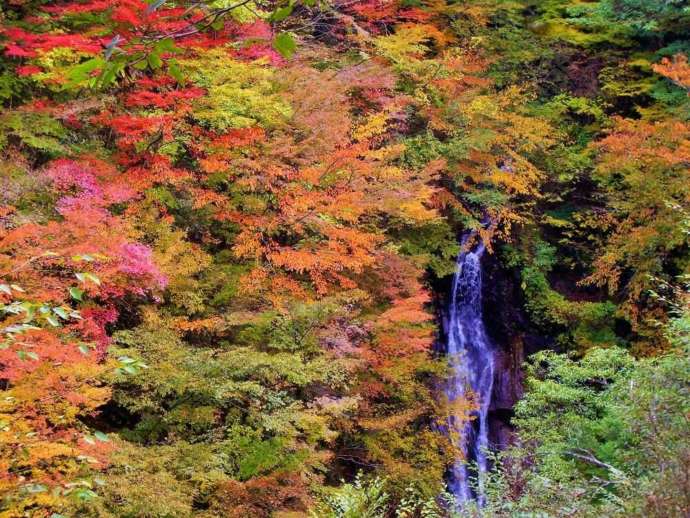 山梨市森林セラピーで訪れる西沢渓谷にある大久保の滝