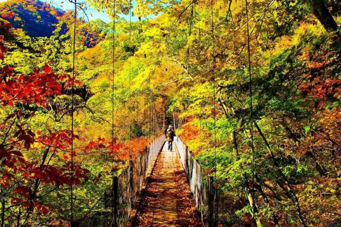 山梨市森林セラピーで訪れる西沢渓谷にある二俣吊り橋