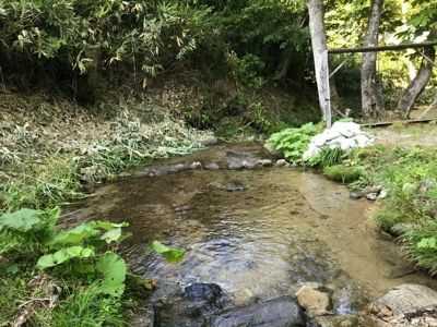 夏でも驚くほど冷たい、山之村キャンプ場内を流れる小川