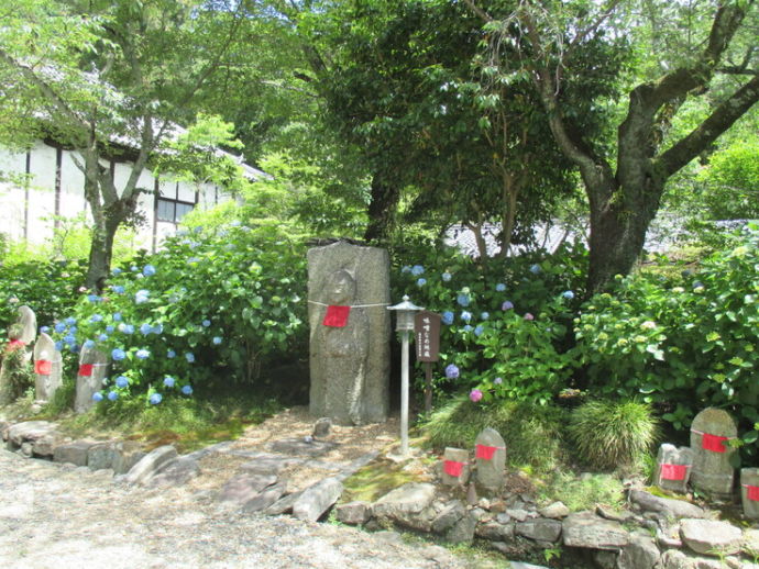 矢田寺の境内の風景