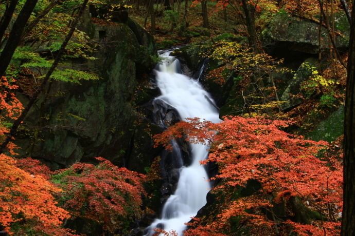 滝川渓谷と紅葉
