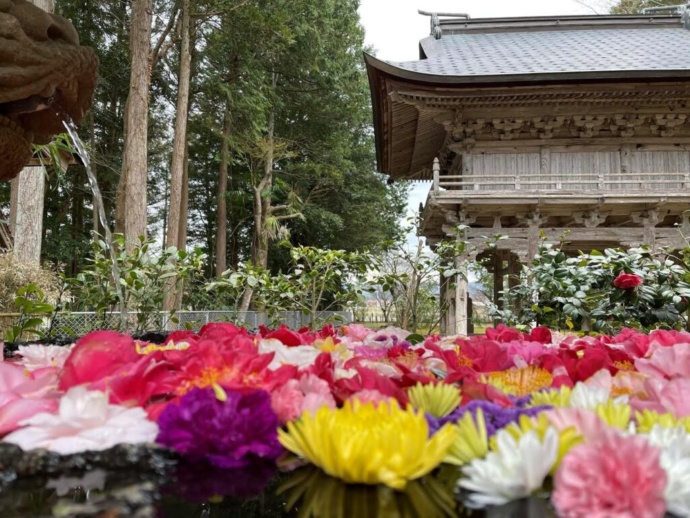 島根県安来市にある雲樹寺