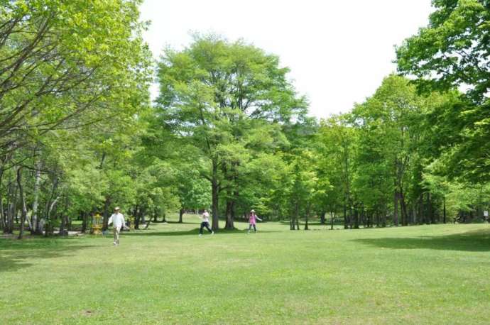 長野県諏訪郡原村の「八ヶ岳自然文化園」の芝生広場でアクティビティを満喫する人たち