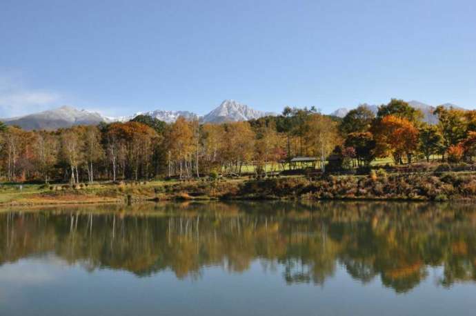 長野県諏訪郡原村の「八ヶ岳自然文化園」にあるまるやち湖