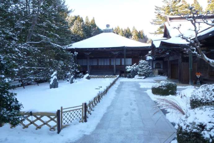 冬の櫻池院