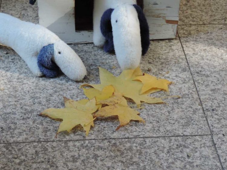 北鎌倉 葉祥明美術館の庭にある犬の作品