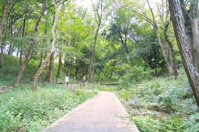 千葉県四街道市にある緑豊かな四街道市総合公園