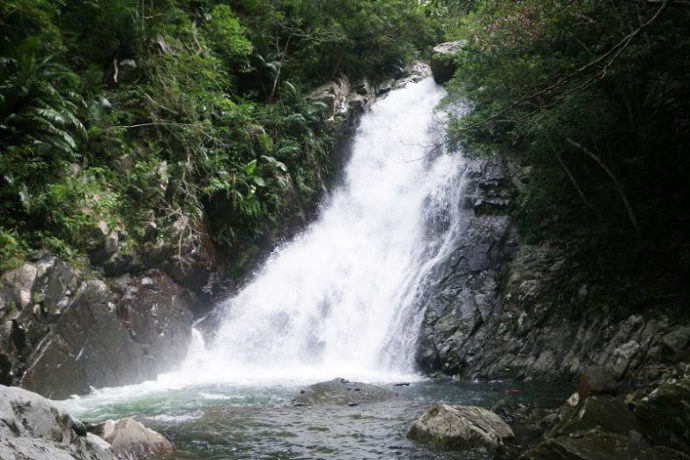 沖縄本島最大級の滝である比地大滝