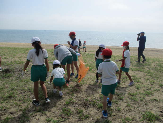 海辺でゴミ拾いをする小学生たち