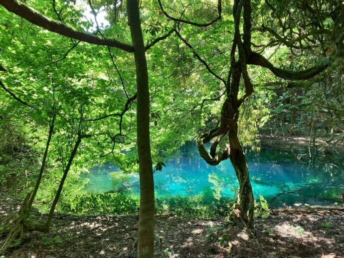 丸池様の風景